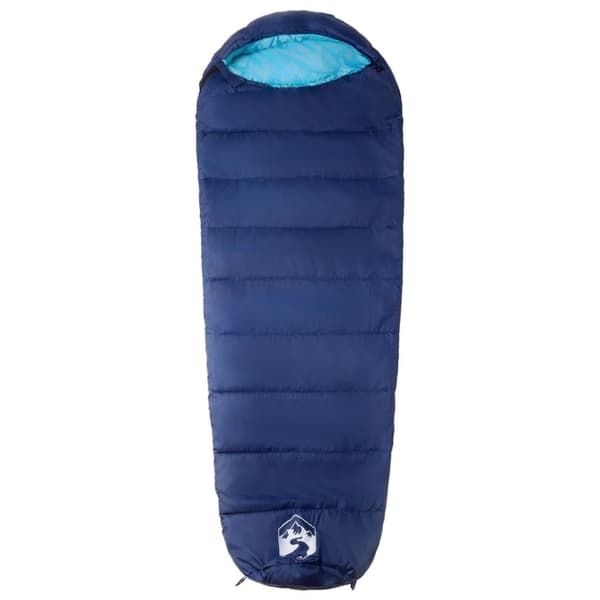 vidaXL Sovepose for voksne camping 3 sesonger