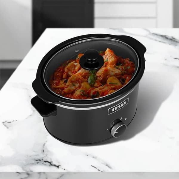 TESLA SlowCook S350