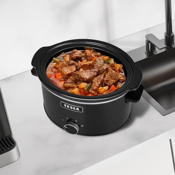 TESLA SlowCook S350