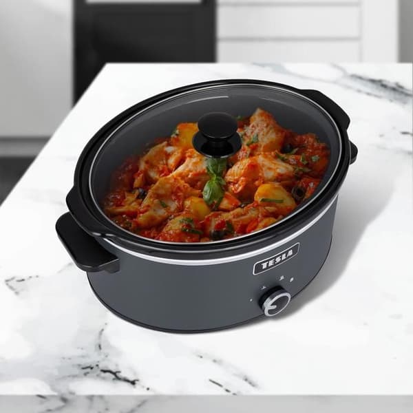 TESLA SlowCook S500
