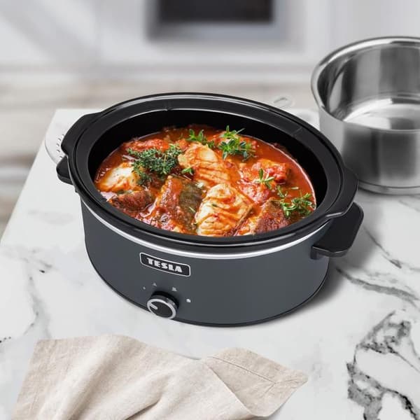 TESLA SlowCook S500