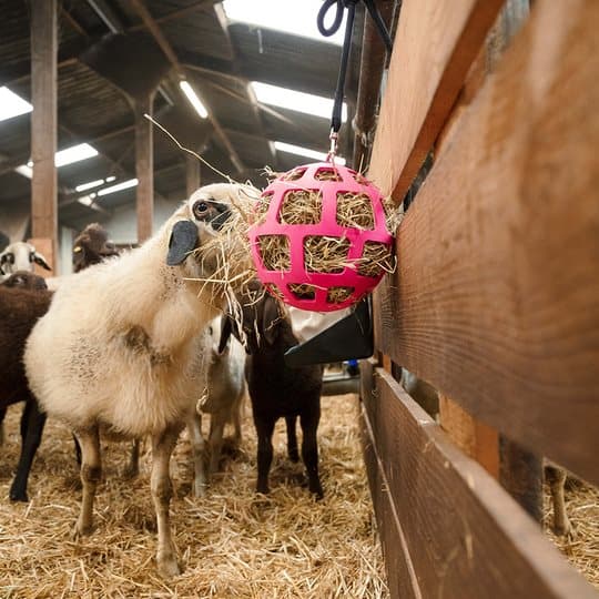 Hay Slowfeeder sjov og flex 22 cm grøn