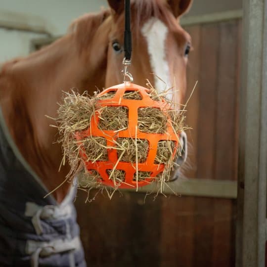 Hay Slowfeeder sjov og flex 22 cm grøn