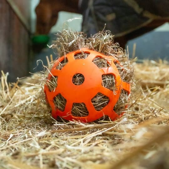 Hay Slowfeeder sjov og flex 22 cm grøn