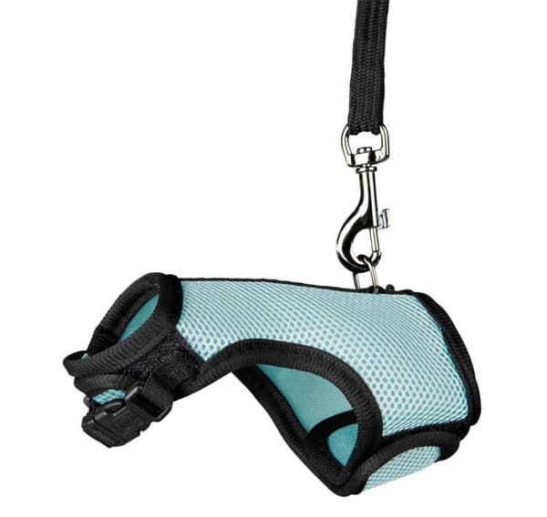 Rotteblød sele med snor, nylon, bælte: 60–130 cm/25 mm snor: 1,20 m/15 mm