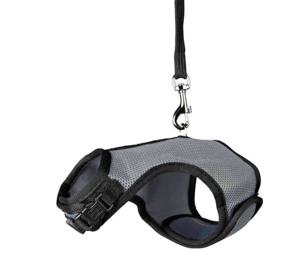 Kanin pehmeät valjaat talutushihnalla, nylon, vyö: 60–130 cm/25 mm talutushihna: 1,20 m/15 mm