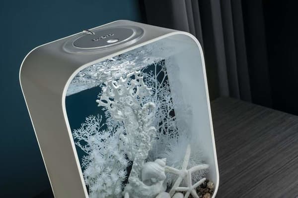 Oase heminredningskit - 78132 - biOrb Winter Dream dekorativt set
