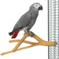 Miniatyrbild 7 av 8: Trippel sittpinne L - för stora papegojor