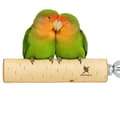 Miniatyrbillede 1 af 4: Parrot Planet Naturally - Naturlig birketræssæde til papegøjer størrelse S