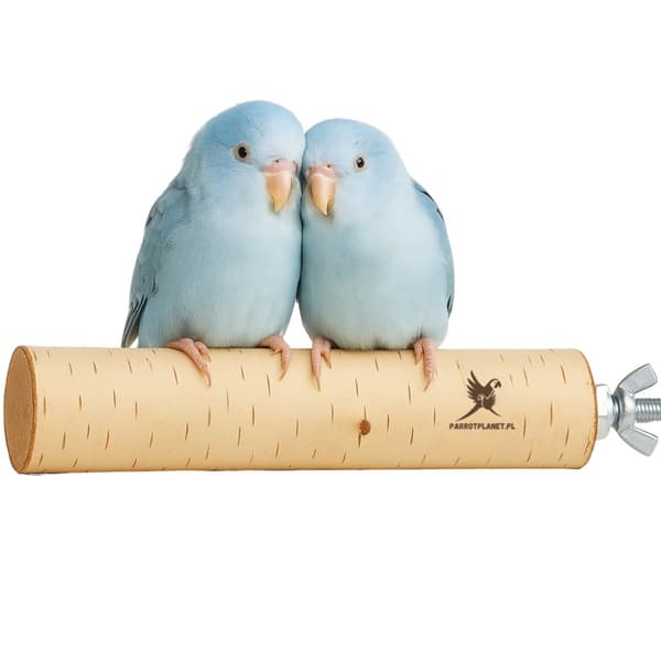 Parrot Planet Naturally - Luonnonmukainen koivuorsi papukaijoille, koko S - 30 cm