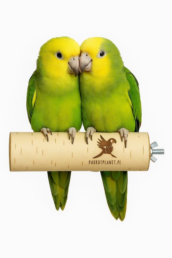 Parrot Planet Naturally - Naturlig birketræssæde til papegøjer størrelse M/L - 30 cm