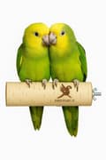 Miniatyrbillede 2 af 5: Parrot Planet Naturally - Naturlig birketræssæde til papegøjer størrelse M/L - 30 cm