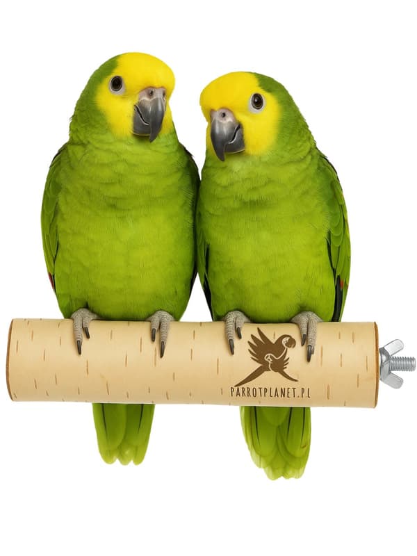 Parrot Planet Naturally - Naturlig birketræssæde til papegøjer størrelse M/L - 30 cm