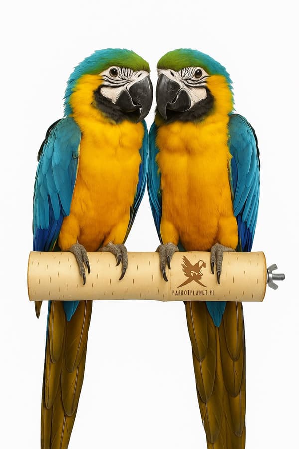 Parrot Planet Naturally - Luonnonvärinen koivuorsi papukaijoille, koko XL - 30 cm
