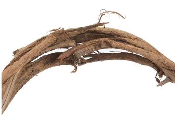Naturlig lian til alle papugas fra 100 til 120 cm lange, diameter fra 1 til 3 cm størrelse S/M