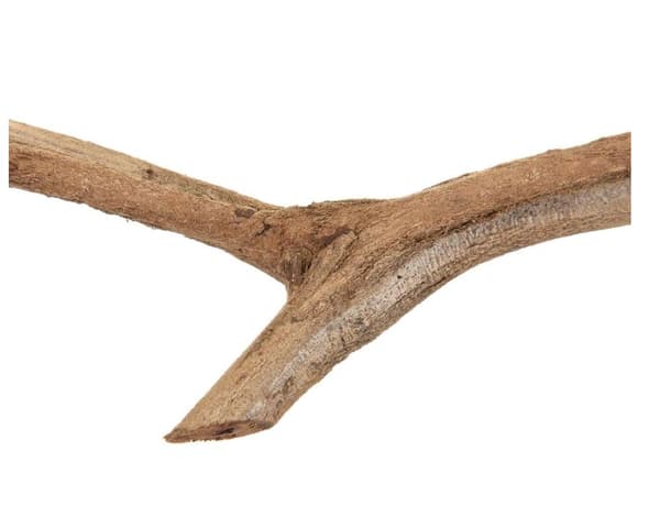 Naturlig lian til alle papugas fra 100 til 120 cm lange, diameter fra 1 til 3 cm størrelse S/M