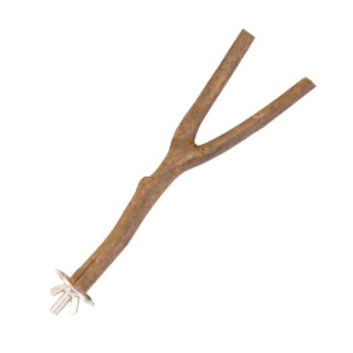 Naturlig siddepind til papegøjer Y størrelse M - 30 cm x 2 cm