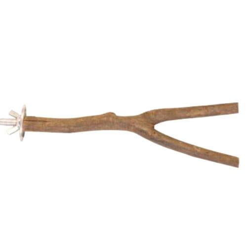 Naturlig siddepind til papegøjer Y størrelse M - 30 cm x 2 cm