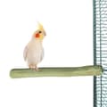 Miniatyrbillede 1 af 6: JAVA M Perch - en simpel siddepind til nymfeparakiter og andre mellemstore eller mindre papegøjer