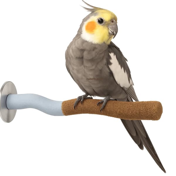 Sandy Perch USA M - kynsien hiontapuikko M