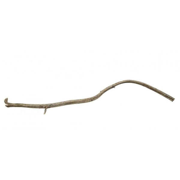 Rattan Liana til alle Papugs 20cm-40cm