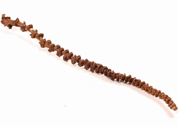 Naturlig bananliana för alla Papugs 35-45 cm
