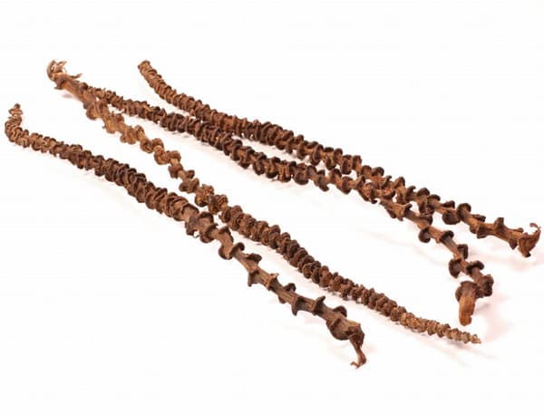 Naturlig bananliana för alla Papugs 35-45 cm