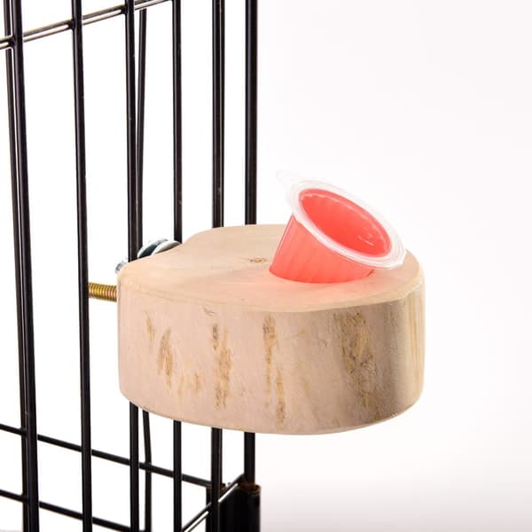 JAVA papegøje-geléholder