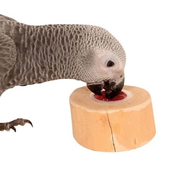 JAVA papegøje-geléholder