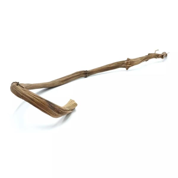 Naturlig bananliana til alle 60-70 cm PaPugs