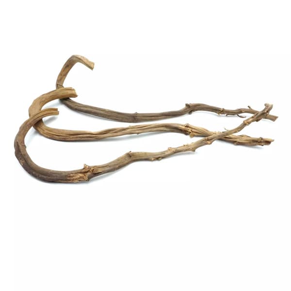 Naturlig bananliana til alle 60-70 cm PaPugs