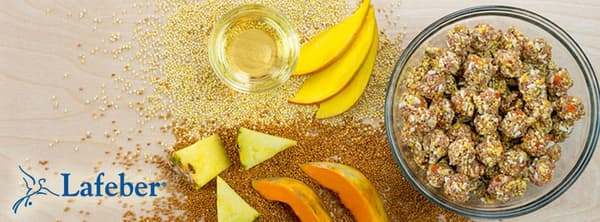 Lafeber NutriBerries Tropical Fruit - Mat: spannmål med tropisk frukt i form av bollar för medelstora och stora papegojor 28g PROV