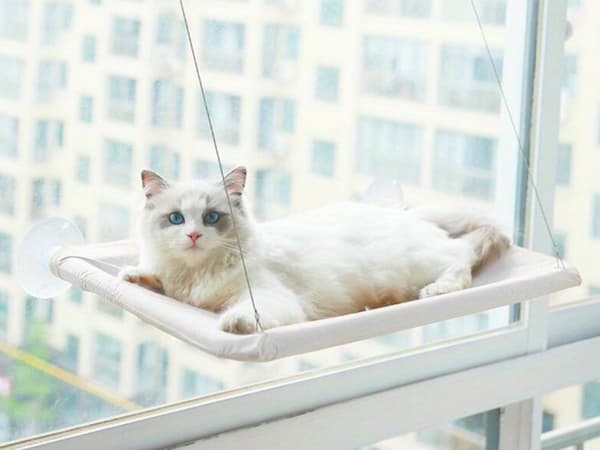 Hängande kattbädd, fastmonterad, grå