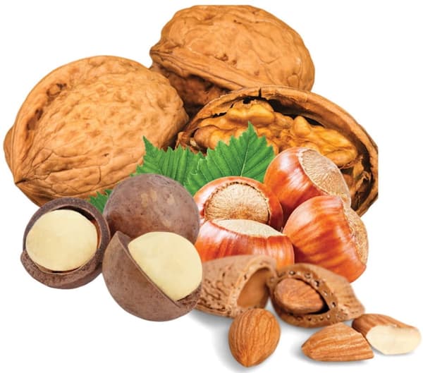 Din Parrot Wild Nuts in Shells Parrot Treat - nötblandning för medelstora och stora papegojor 1 kg