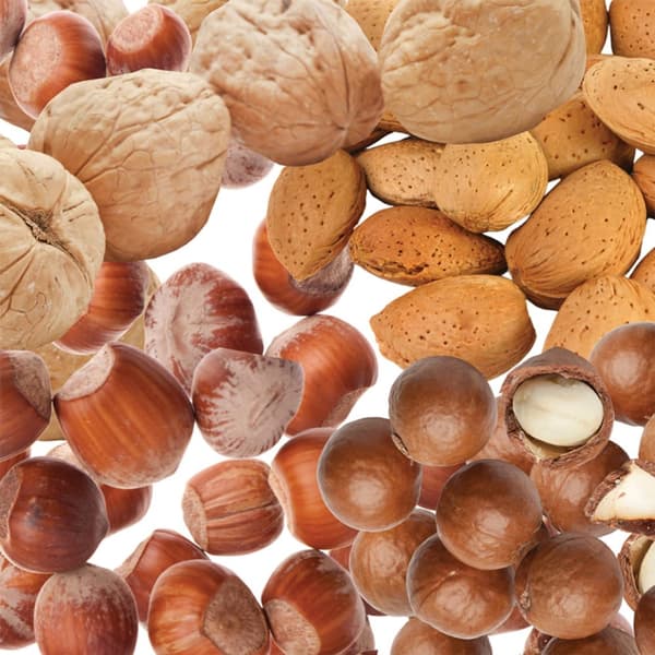 Din Parrot Wild Nuts in Shells Parrot Treat - nötblandning för medelstora och stora papegojor 1 kg