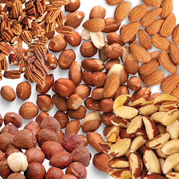Your Parrot Wild Nuts No Shells Parrot Treat - kuorettomat pähkinäsekoitukset keskikokoisille ja suurille papukaijoille 1 kg