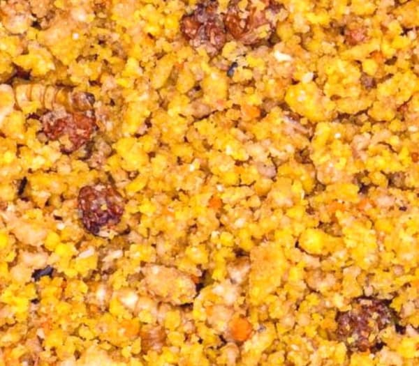 Your Parrot Soft Eggfood Gold - æggefoder til store papegøjer 1 kg