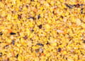 Miniatyrbild 2 av 4: Your Parrot Eggfood Easy Soft - äggfoder för stora papegojor 1 kg