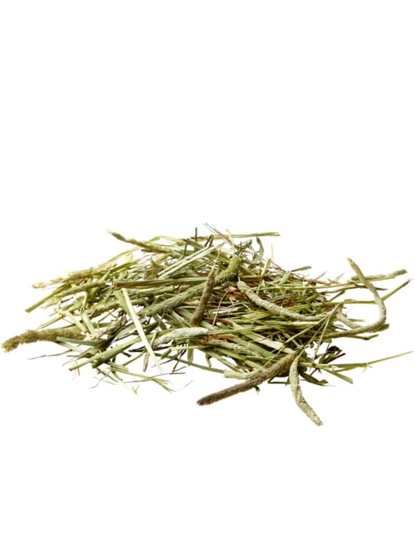 Versele Laga - Timothy Hay - Rent Timothy Hay för kaniner och gnagare, 1 kg