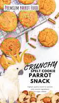 Miniatyrbild 1 av 5: Crunchy Spelt Cookie - Smörkakor med dinkel - 50g - Ett mellanmål för alla papegojor