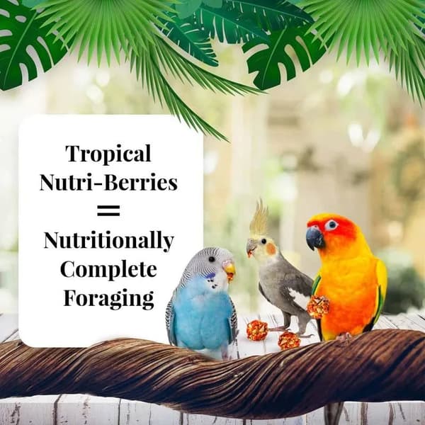 Lafeber Nutri-Berries El Paso Nymfeparakit - Korn med kugleformede granuler til små og mellemstore papegøjer 284 g
