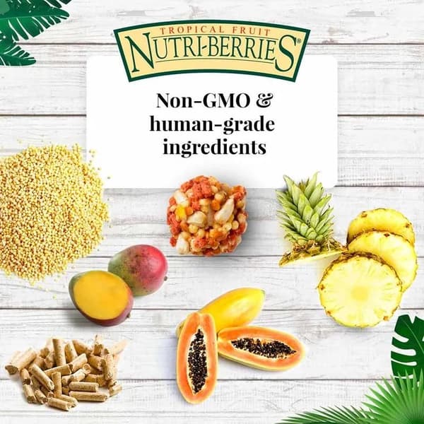Lafeber Nutri-Berries El Paso Nymfeparakit - Korn med kugleformede granuler til små og mellemstore papegøjer 284 g