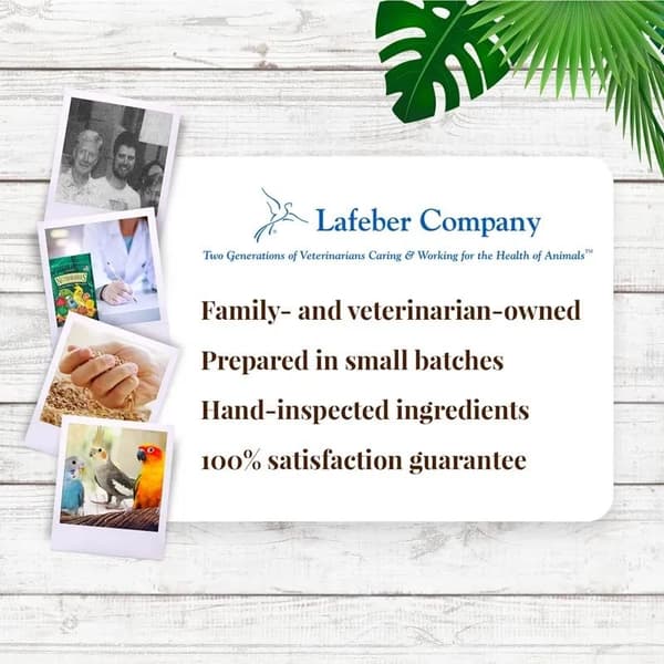 Lafeber Nutri-Berries El Paso Nymfeparakit - Korn med kugleformede granuler til små og mellemstore papegøjer 284 g