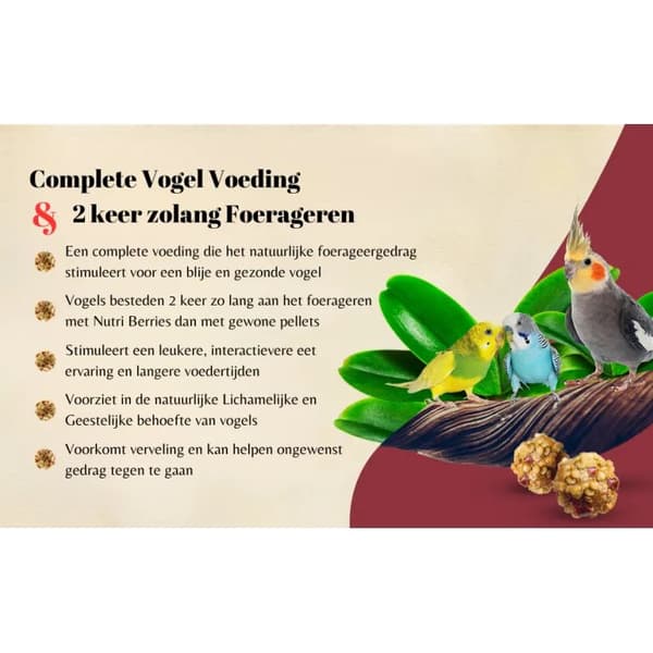 Lafeber Nutri-Berries El Paso Nymfeparakit - Korn med kugleformede granuler til små og mellemstore papegøjer 284 g