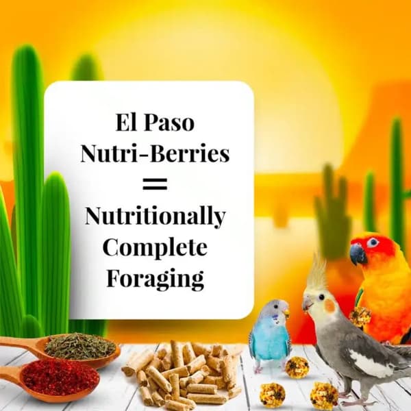 Lafeber Nutri-Berries El Paso Nymfeparakit - Korn med kugleformede granuler til små og mellemstore papegøjer 284 g