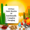 Miniatyrbillede 2 af 10: Lafeber Nutri-Berries El Paso Nymfeparakit - Korn med kugleformede granuler til små og mellemstore papegøjer 284 g