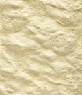 Pikkukuva 2 / 4: Versele Laga NutriBird A19 800g - poikasten kasvatusruoka (19% proteiinia)