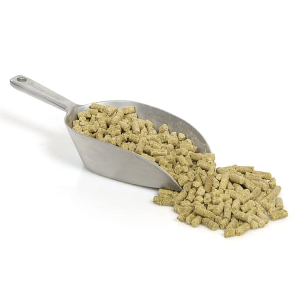 Wagner's Pellets - Wagner's kallpressade granulat för medelstora och stora papegojor 750g