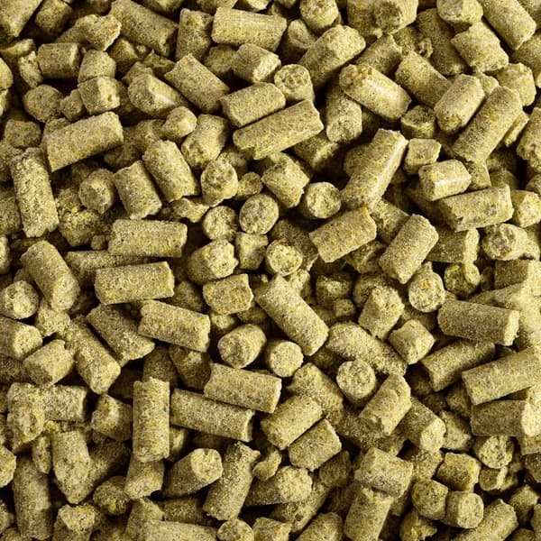 Wagner's Pellets - Wagner's kallpressade granulat för medelstora och stora papegojor 750g
