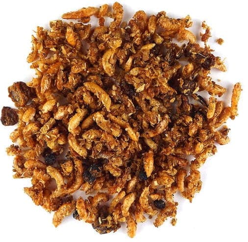 Claus Honig-Alleinfutter Ia schwarz - mjuk mat med ren honung för exotiska fåglar 500g